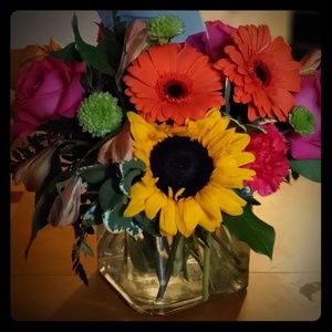 Meet your Posher, Dee